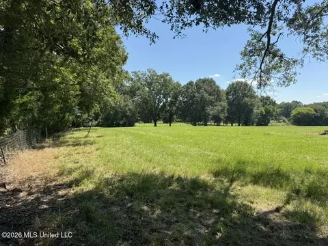000001 Green Acres Dr, Canton, MS 39046 photo 13
