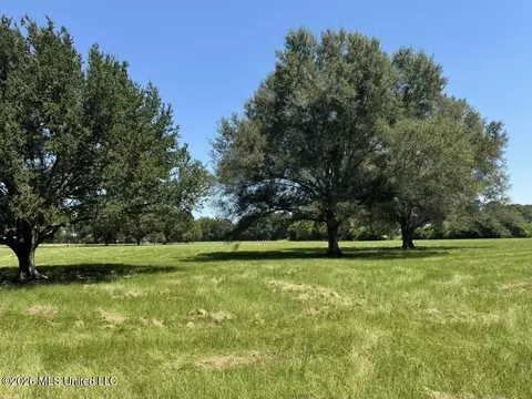 000001 Green Acres Dr, Canton, MS 39046 photo 29