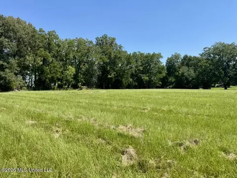 000001 Green Acres Dr, Canton, MS 39046 photo 21