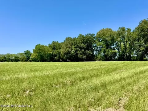 000001 Green Acres Dr, Canton, MS 39046 photo 6