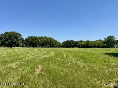 000001 Green Acres Dr, Canton, MS 39046 photo 30
