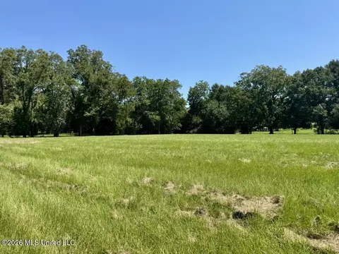 000001 Green Acres Dr, Canton, MS 39046 photo 19