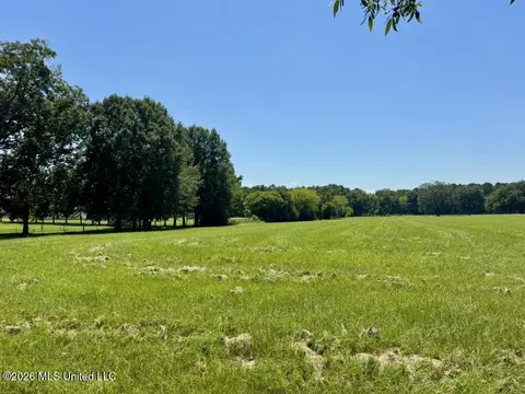 000001 Green Acres Dr, Canton, MS 39046 photo 16