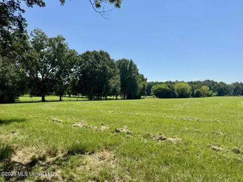 000001 Green Acres Dr, Canton, MS 39046 photo 4