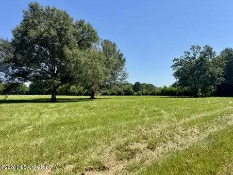 000001 Green Acres Dr, Canton, MS 39046 photo 15
