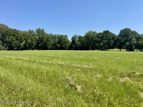 000001 Green Acres Dr, Canton, MS 39046 photo 11