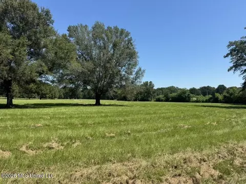 000001 Green Acres Dr, Canton, MS 39046 photo 26