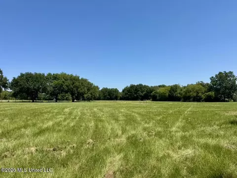 000001 Green Acres Dr, Canton, MS 39046 photo 31