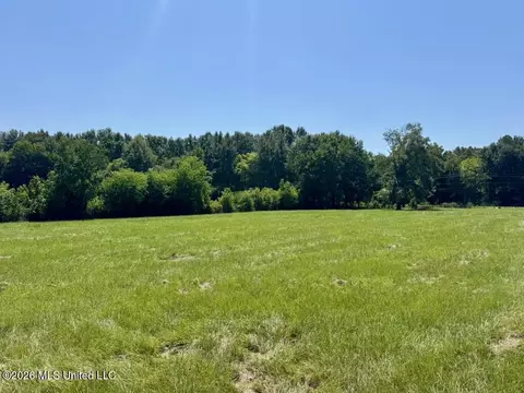 000001 Green Acres Dr, Canton, MS 39046 photo 34