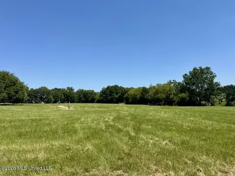 000001 Green Acres Dr, Canton, MS 39046 photo 33