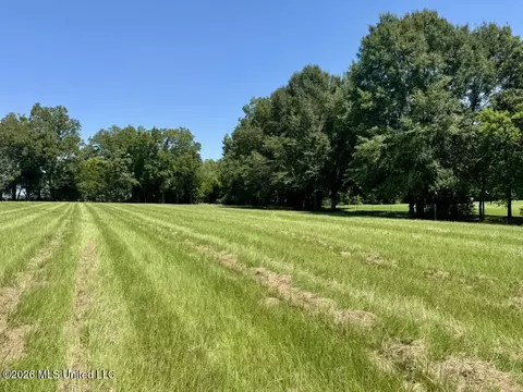 000001 Green Acres Dr, Canton, MS 39046 photo 9