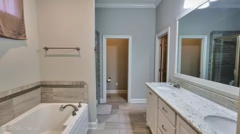 Bath - 359 Emerald Way, Brandon, MS 39047 photo 1 of 4