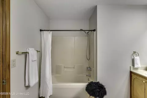 Bath - 210 Southampton Pl, Brandon, MS 39042 photo 3 of 7