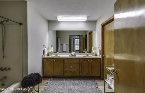 Bath - 210 Southampton Pl, Brandon, MS 39042 photo 7 of 7