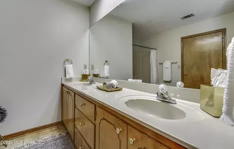 Bath - 210 Southampton Pl, Brandon, MS 39042 photo 5 of 7
