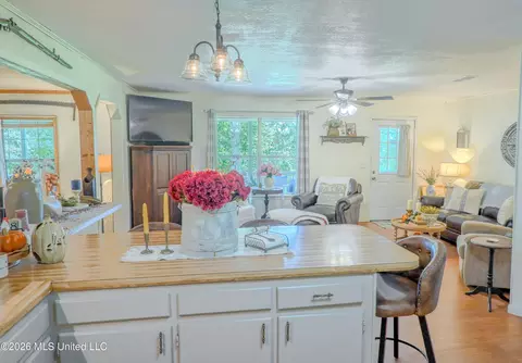 Other - 213 Sand Spring Loop, Leakesville, MS 39451 photo 3 of 9