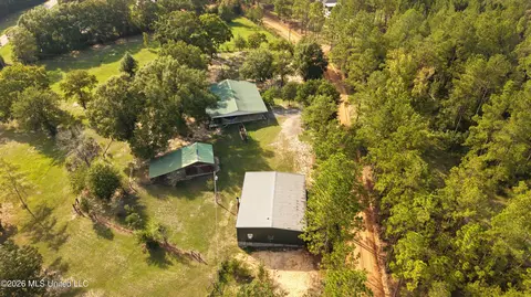 Other - 213 Sand Spring Loop, Leakesville, MS 39451 photo 8 of 9