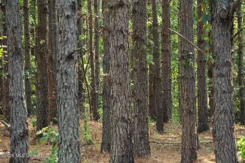 5529 Mlking Junior Dr, Eupora, MS 39744 photo 10
