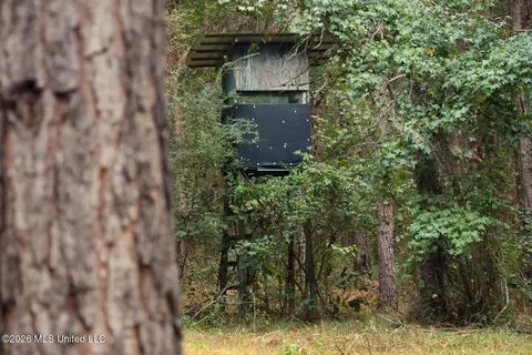 5529 Mlking Junior Dr, Eupora, MS 39744 photo 11