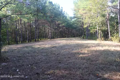 5529 Mlking Junior Dr, Eupora, MS 39744 photo 20