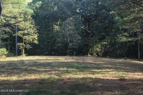 5529 Mlking Junior Dr, Eupora, MS 39744 photo 19