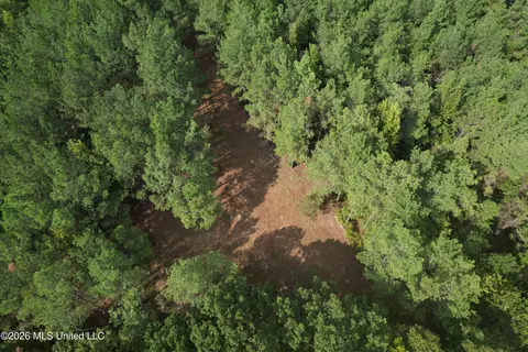 5529 Mlking Junior Dr, Eupora, MS 39744 photo 7