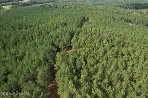 5529 Mlking Junior Dr, Eupora, MS 39744 photo 3