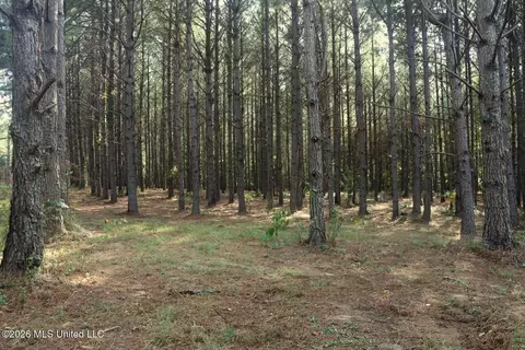 5529 Mlking Junior Dr, Eupora, MS 39744 photo 14