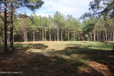 5529 Mlking Junior Dr, Eupora, MS 39744 photo 9