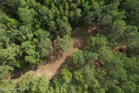 5529 Mlking Junior Dr, Eupora, MS 39744 photo 6