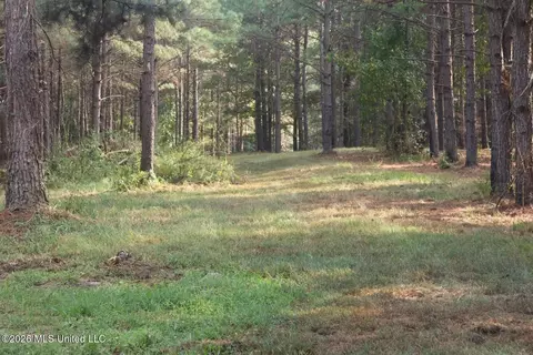 5529 Mlking Junior Dr, Eupora, MS 39744 photo 12