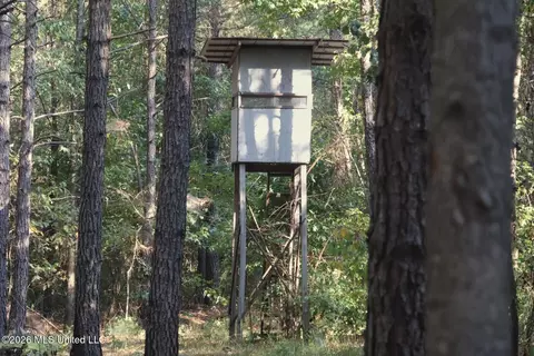 5529 Mlking Junior Dr, Eupora, MS 39744 photo 16