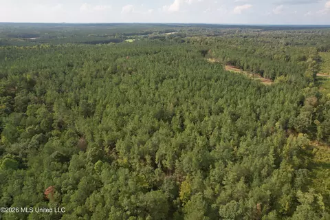 5529 Mlking Junior Dr, Eupora, MS 39744 photo 2