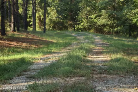 5529 Mlking Junior Dr, Eupora, MS 39744 photo 23