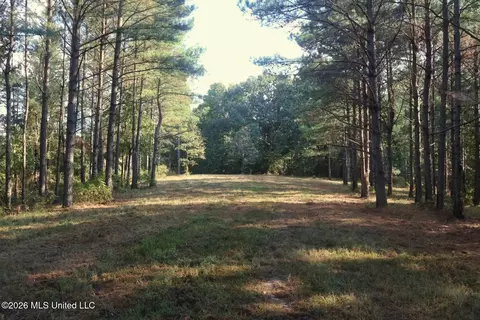 5529 Mlking Junior Dr, Eupora, MS 39744 photo 18