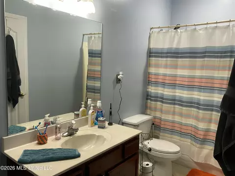 Bath - 314 Wilburn Rd, Lamar, MS 38642 photo 4 of 5