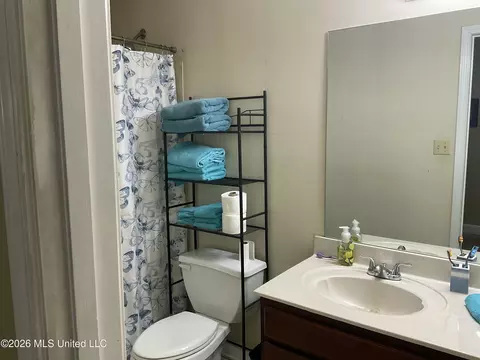 Bath - 314 Wilburn Rd, Lamar, MS 38642 photo 5 of 5