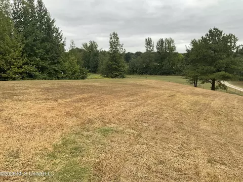 Exterior - 314 Wilburn Rd, Lamar, MS 38642 photo 5 of 8