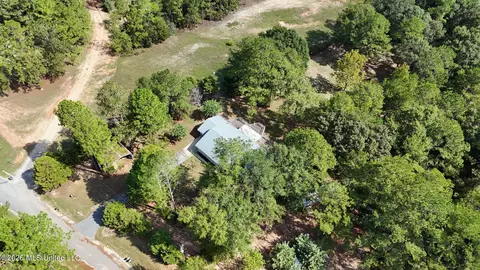 View/Area - 154 Read Rd, Lucedale, MS 39452 photo 4 of 4