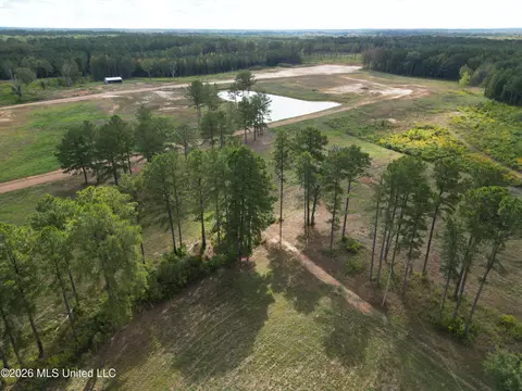 lot1 Sulphur Springs Rd, Canton, MS 39046 photo 6