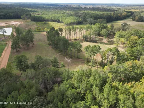 lot1 Sulphur Springs Rd, Canton, MS 39046 photo 2