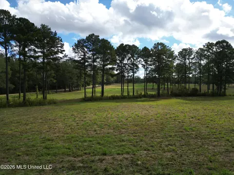 lot1 Sulphur Springs Rd, Canton, MS 39046 photo 8