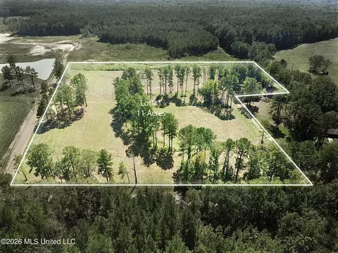 lot1 Sulphur Springs Rd, Canton, MS 39046