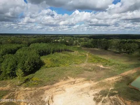 lot2 Sulphur Springs Rd, Canton, MS 39046 photo 12