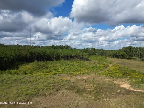 lot2 Sulphur Springs Rd, Canton, MS 39046 photo 13