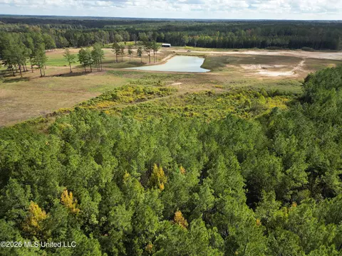 lot2 Sulphur Springs Rd, Canton, MS 39046 photo 11