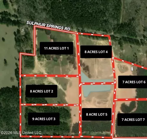 lot2 Sulphur Springs Rd, Canton, MS 39046 photo 3