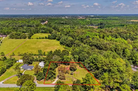 Other - 5232 Ward Pineview Rd, Lucedale, MS 39452 photo 10 of 12