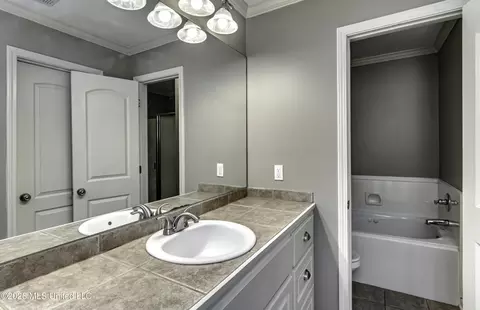 Bath - 606 Briars Bnd, Brandon, MS 39042 photo 3 of 6