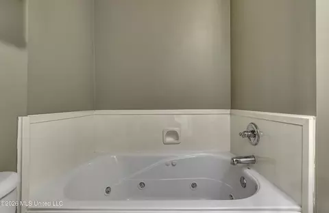 Bath - 606 Briars Bnd, Brandon, MS 39042 photo 5 of 6